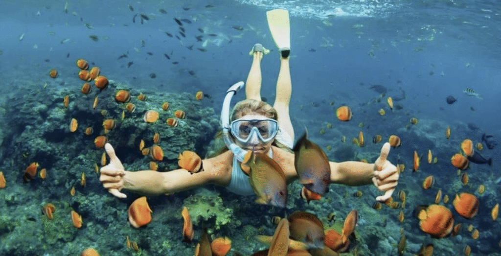 Marine Conservation & Coral Restoration