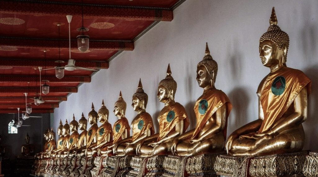 Buddhism & Mindfulness Studies