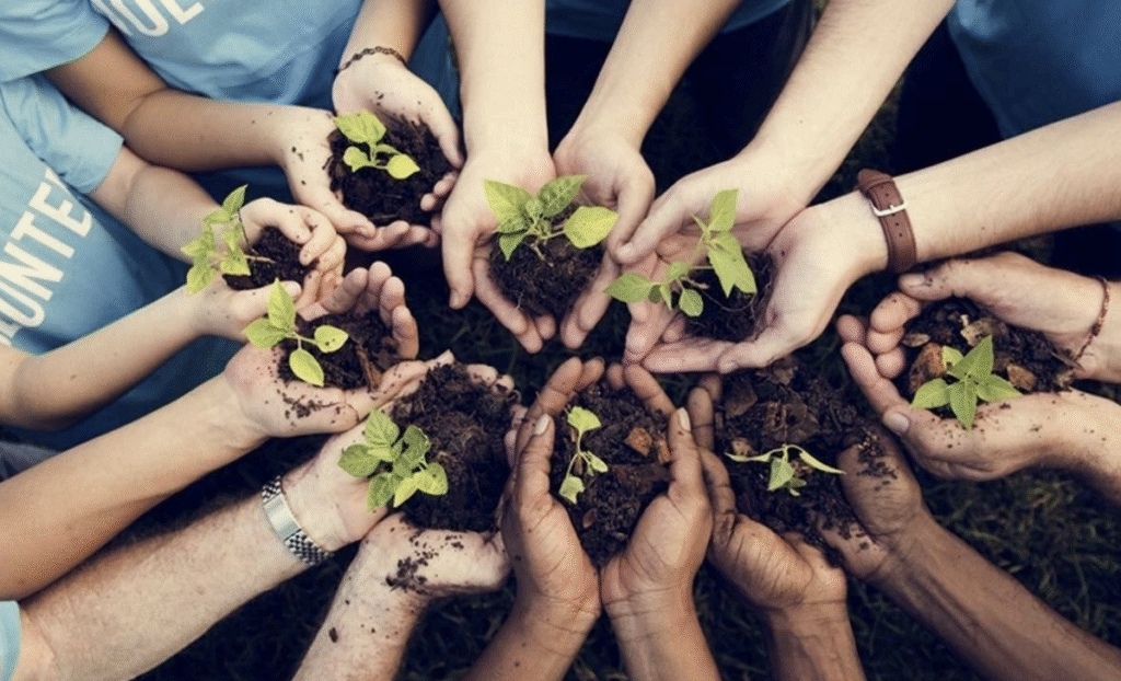 SDGs & Social Entrepreneurship