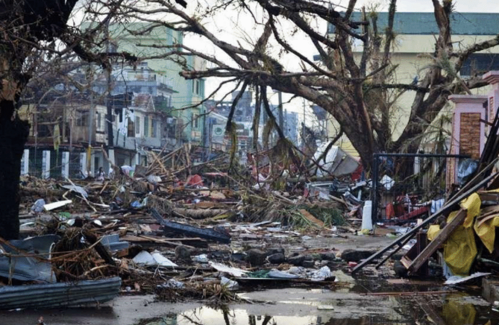 Disaster Resilience & Climate Change Adaptation