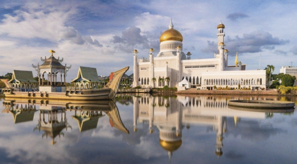 Entrepreneurship & Social Innovation