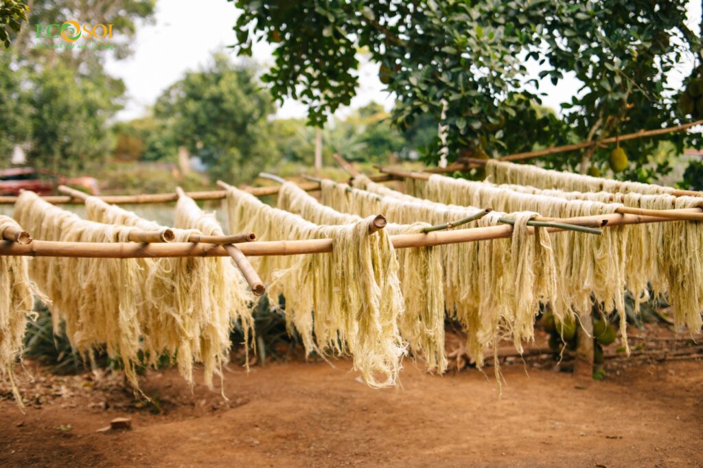 Textiles & Sustainable Fashion - Image 2